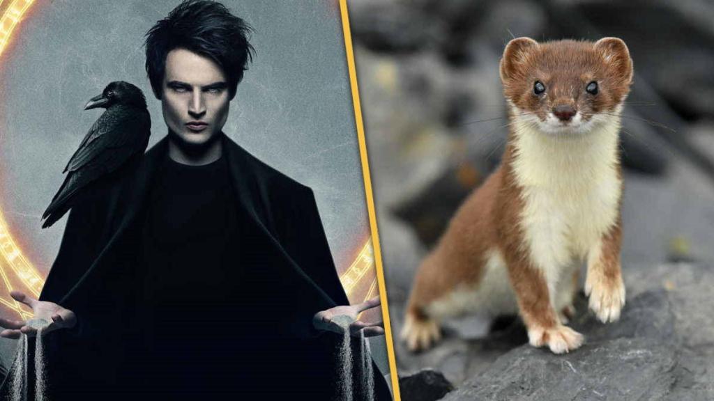 the-sandman-weasel-attack.jpg